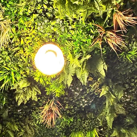 Casa Da Laje - Casas Bemhaja Prázdninový dům