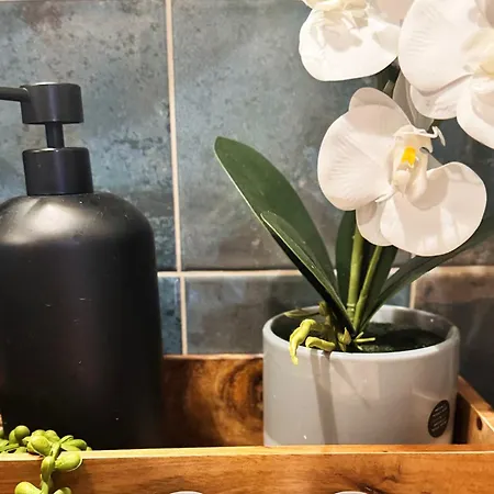 Casa Da Laje - Casas Bemhaja * Sao Miguel de Acha