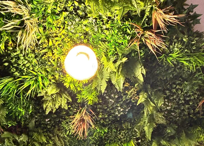 Casa Da Laje - Casas Bemhaja Casa vacanze